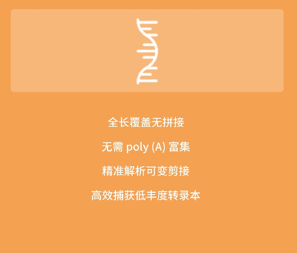 三代全长转录组